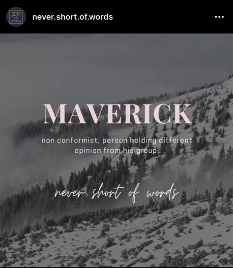 maverick noun .